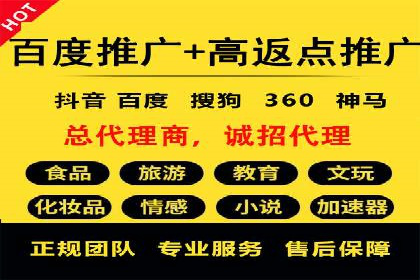 SEM广告优化案例：实战技巧解析